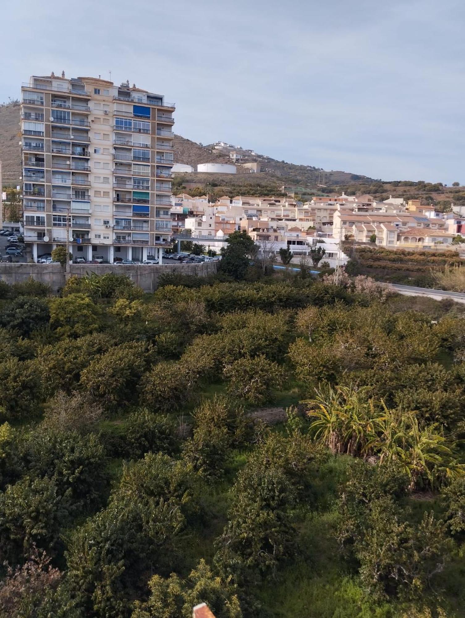 Room In Shared Apartment With Parking Almuñécar المظهر الخارجي الصورة