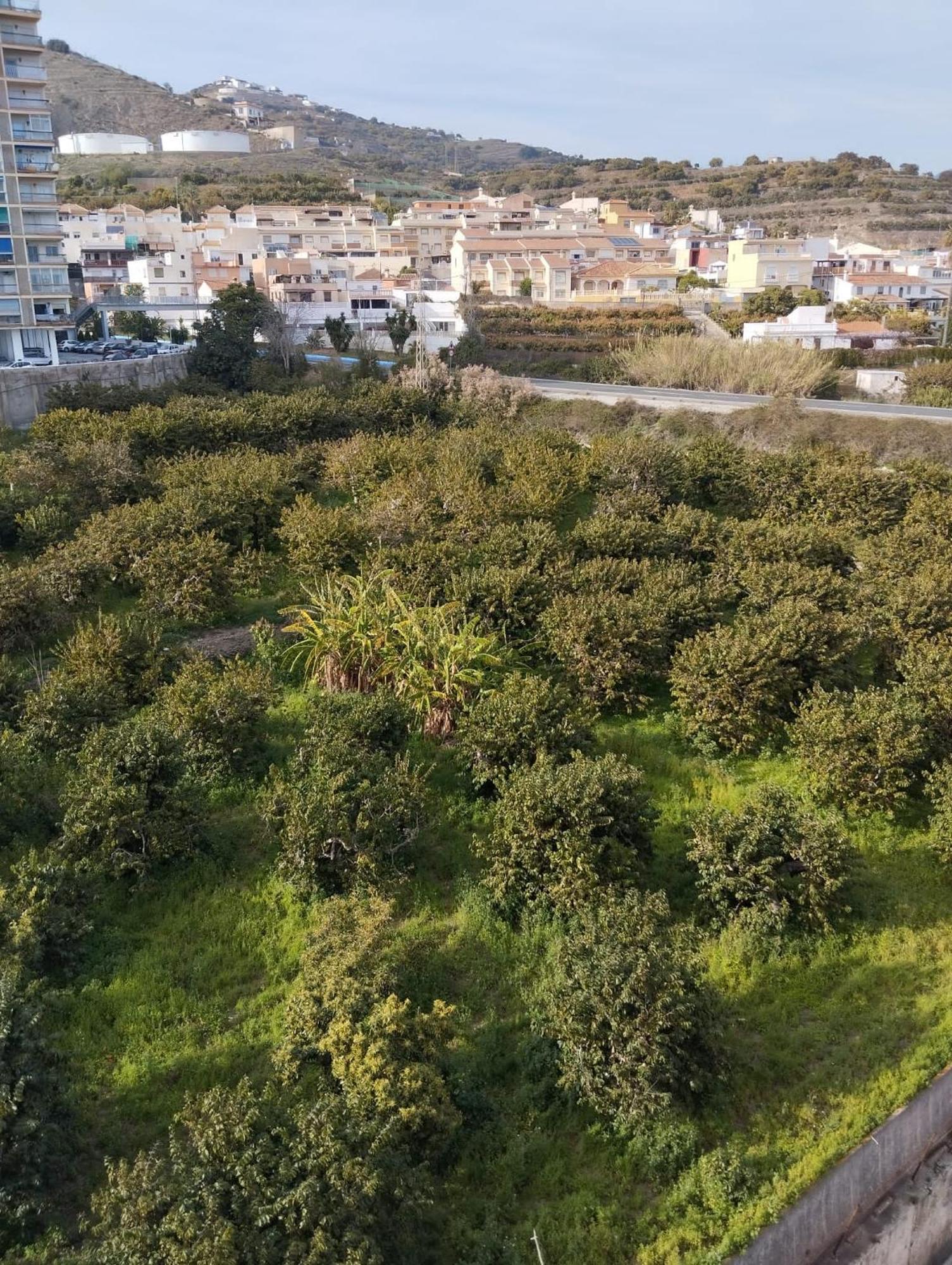 Room In Shared Apartment With Parking Almuñécar المظهر الخارجي الصورة